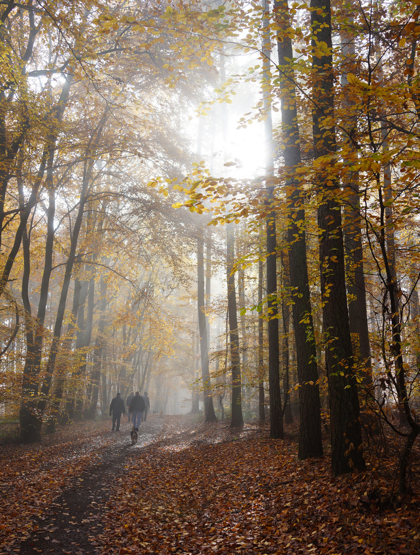 Sonntag Morgen Spaziergang