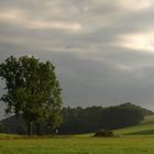 Sonntag morgens um 6:00 ist die Welt noch in Ordnung