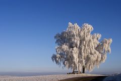 Sonntag morgens........die Bank, der Baum, das Licht:-) Teil 3