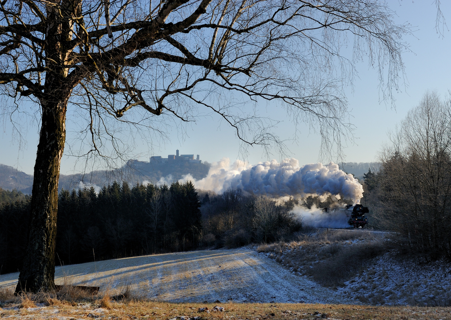 Sonntag nach dem Frühstück, oder ..... immer wieder schön anzusehen ...