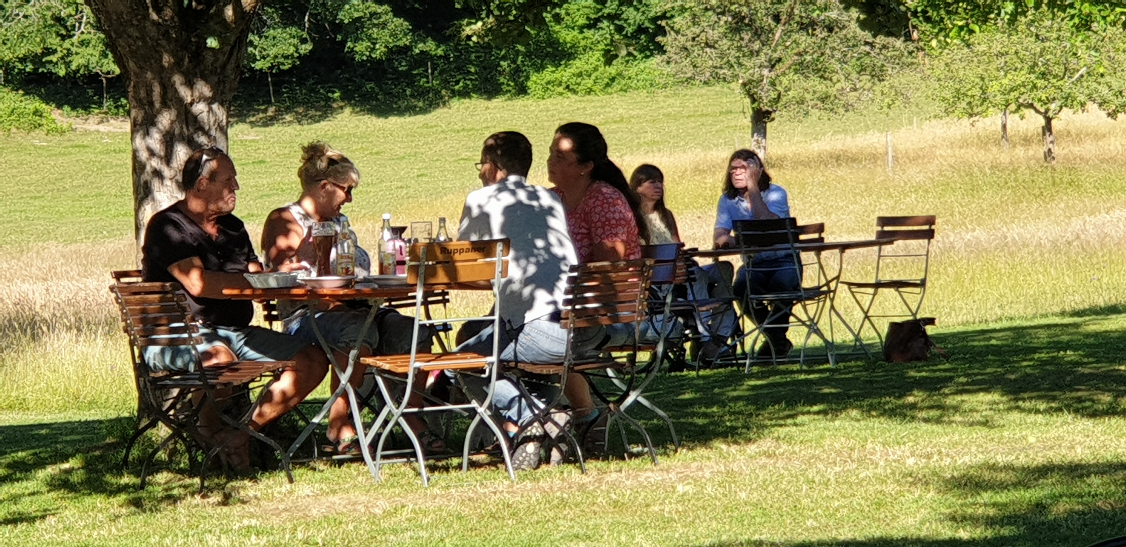 Sonntag Nachmittag Familientreffen im Grünen