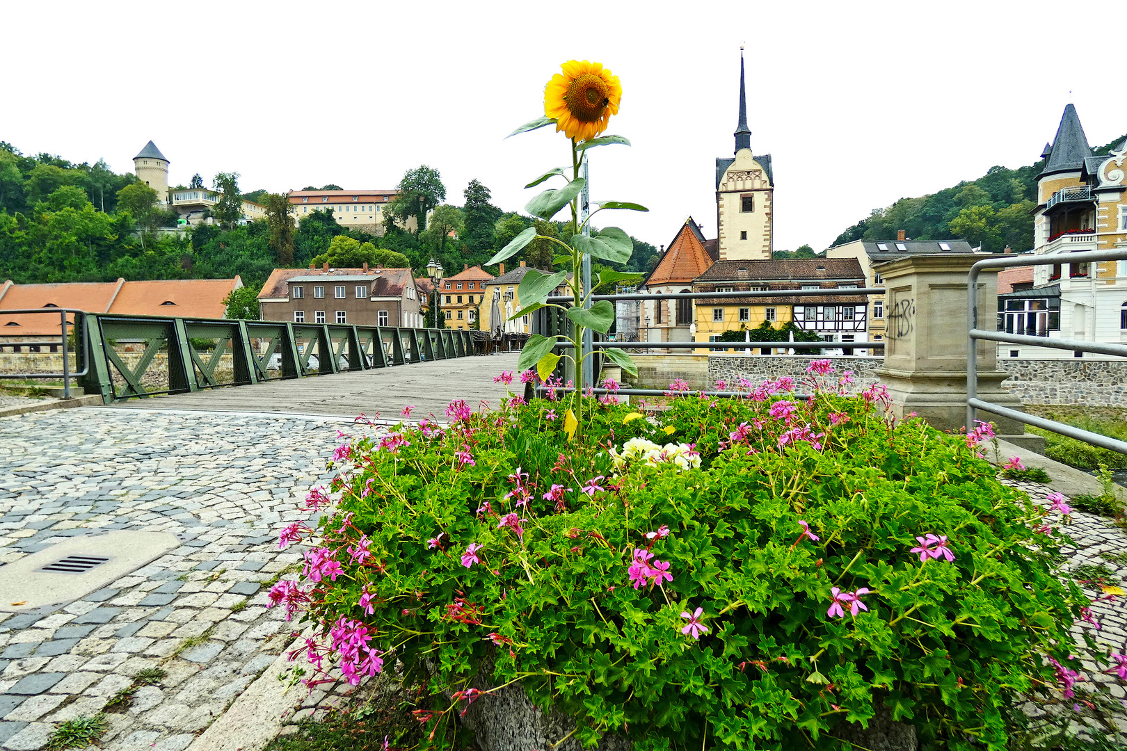 Sonntag ohne Sonne Foto & Bild brücke, sonnenblume, gera Bilder auf