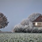 Sonntag schläft man länger...