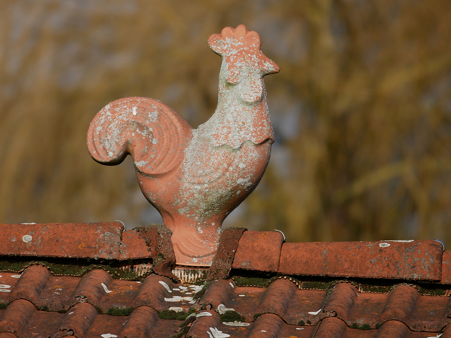 Sonntag-Sonnen-Spaziergang I