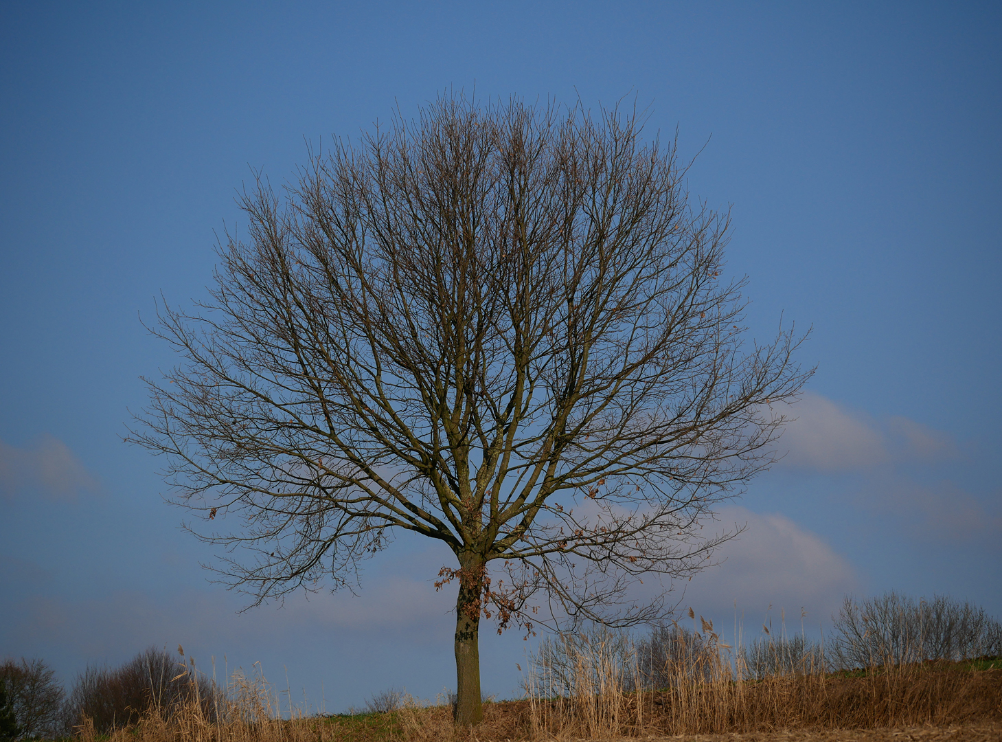 Sonntag-Sonnen-Spaziergang III