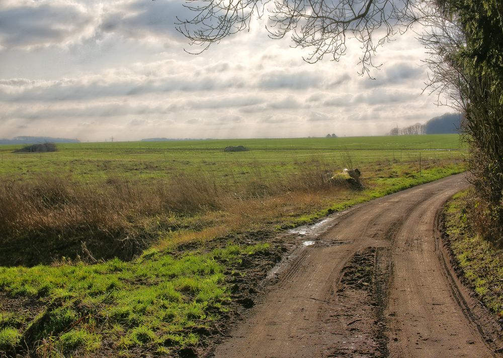 Sonntag-Sonnen-Spaziergang VI