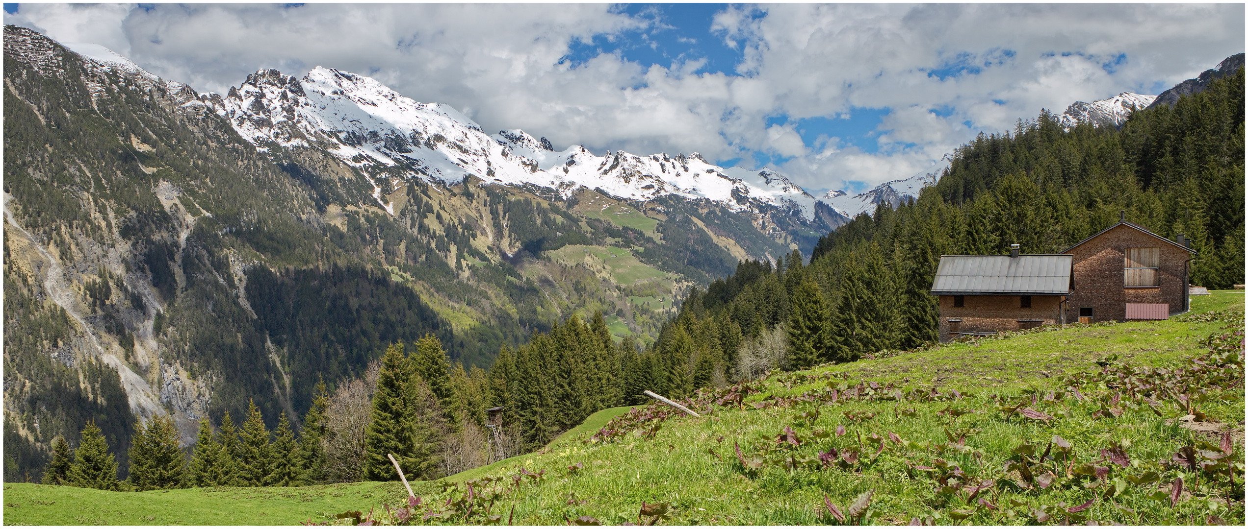 Sonntag-Stein 2021-05-22 Panorama Nähe Vord.-Steinbild