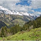 Sonntag-Stein 2021-05-22 Panorama Nähe Vord.-Steinbild