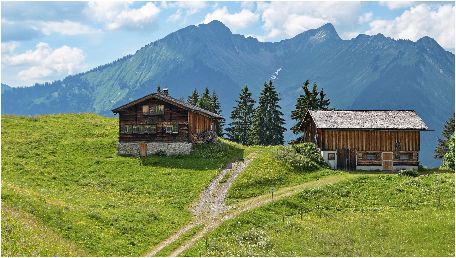 Sonntag-Stein 2023-06-13 Bereich hinteres Steinbild