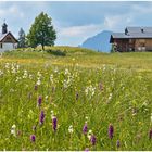 Sonntag-Stein 2023-06-13 Panorama Rosenkranzkapelle