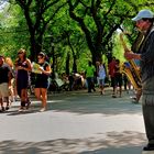 Sonntagmorgen im Central Park New York