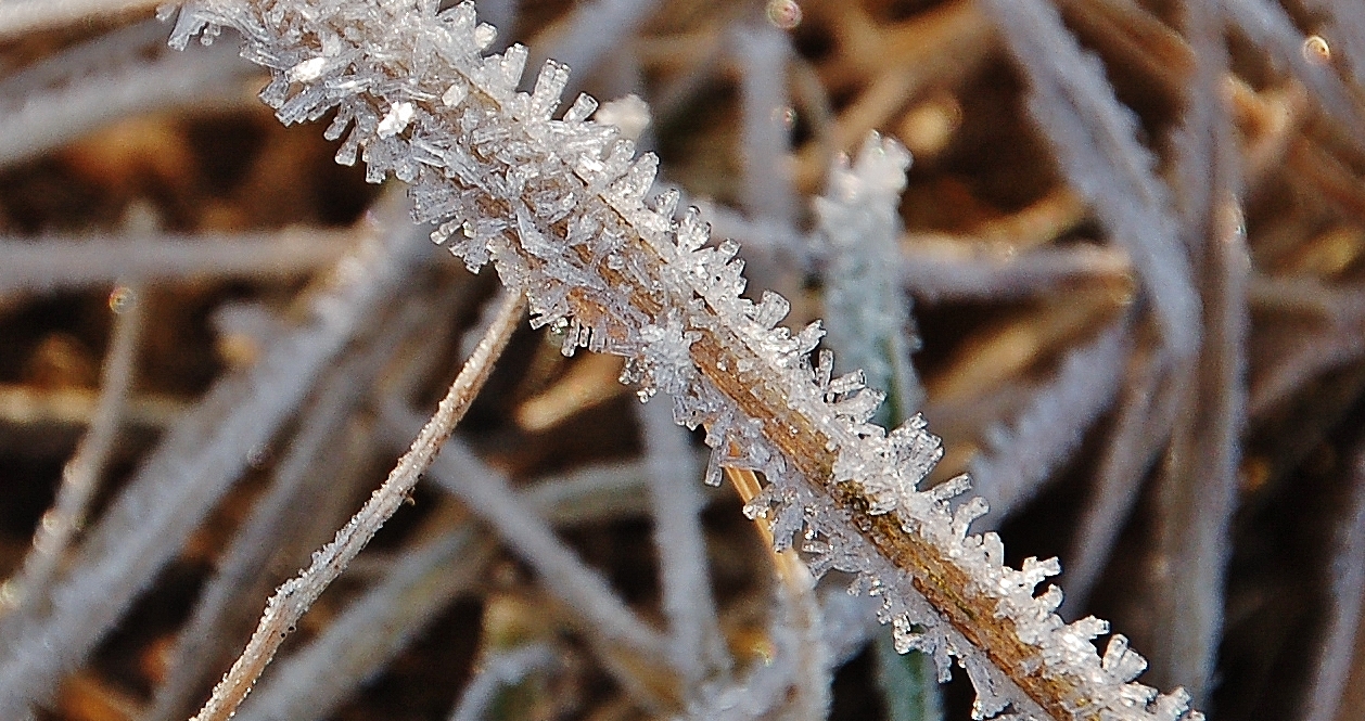 ... Sonntagmorgen im Februar