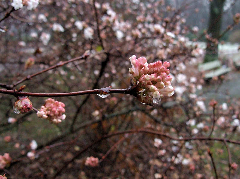 Sonntagmorgen im November