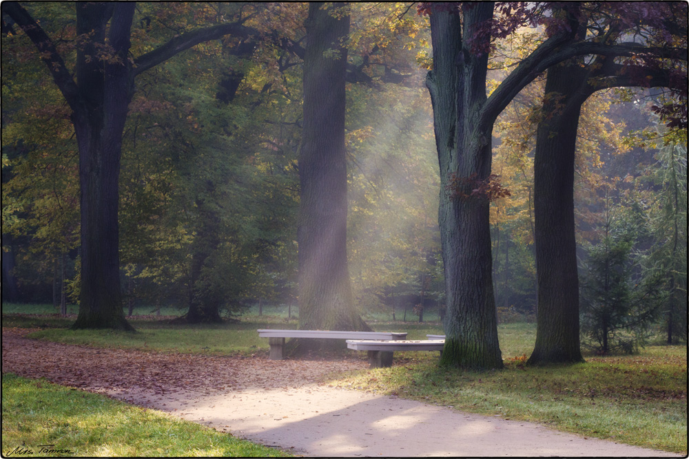 Sonntagmorgen im Park