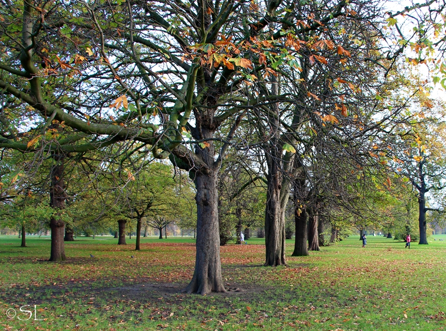 Sonntagmorgen im Park