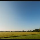 Sonntagmorgen im Wiesengrund III