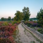 Sonntagmorgen in der Wahner Heide