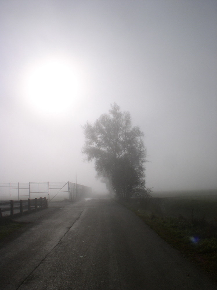 Sonntagmorgen in Hart im Zillertal