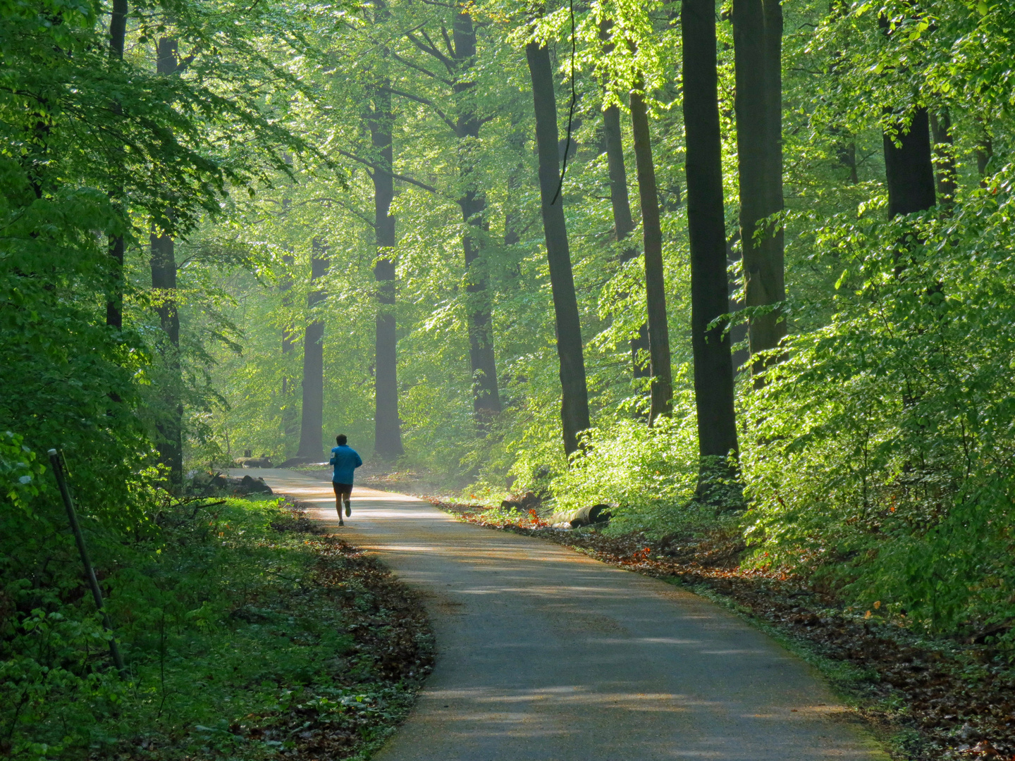 Sonntagmorgen Jogger