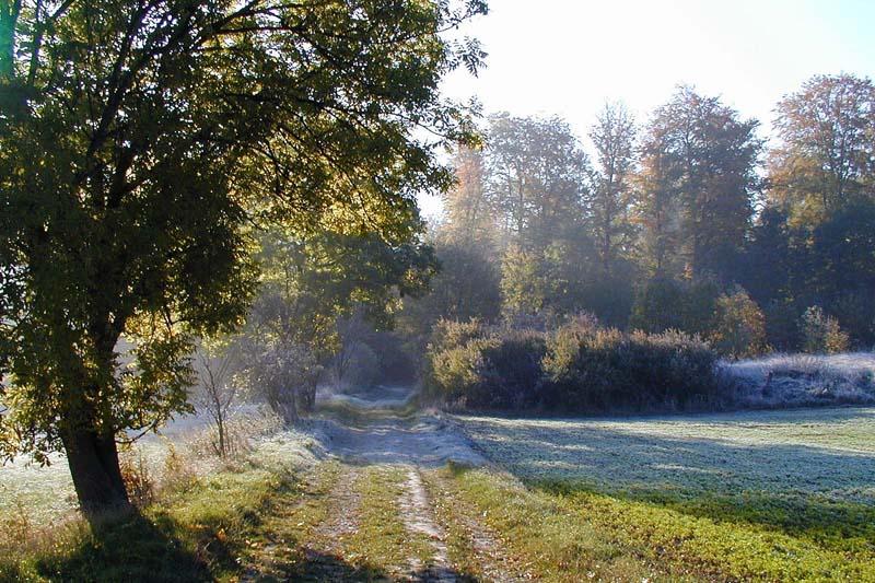 Sonntagmorgen nach dem ersten Frost