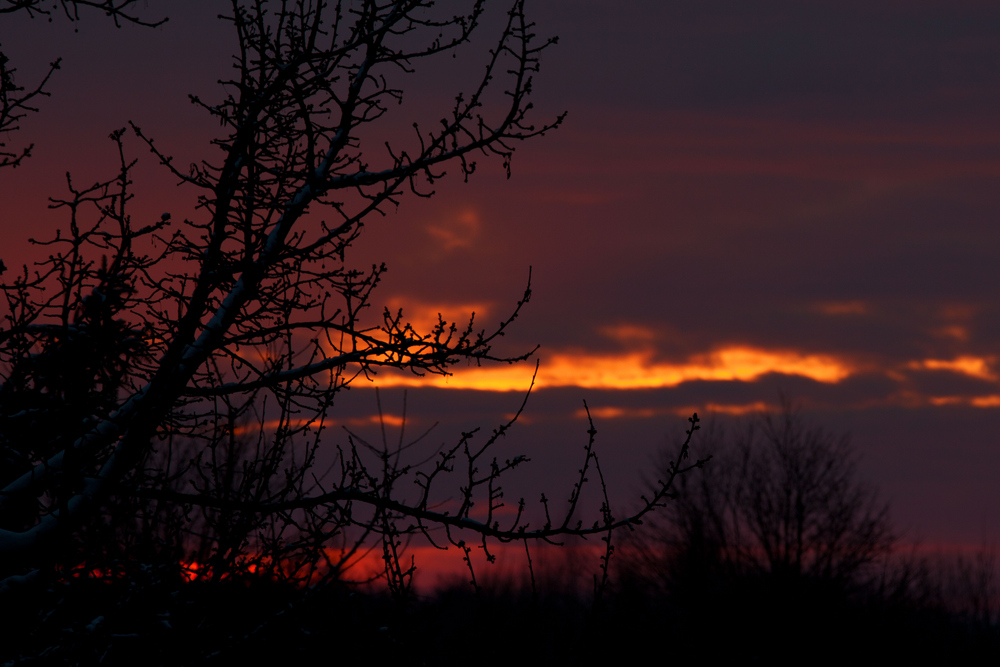 ...Sonntagmorgen... oder... der erste Blick aus dem Fenster