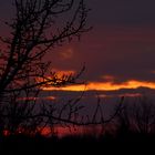 ...Sonntagmorgen... oder... der erste Blick aus dem Fenster