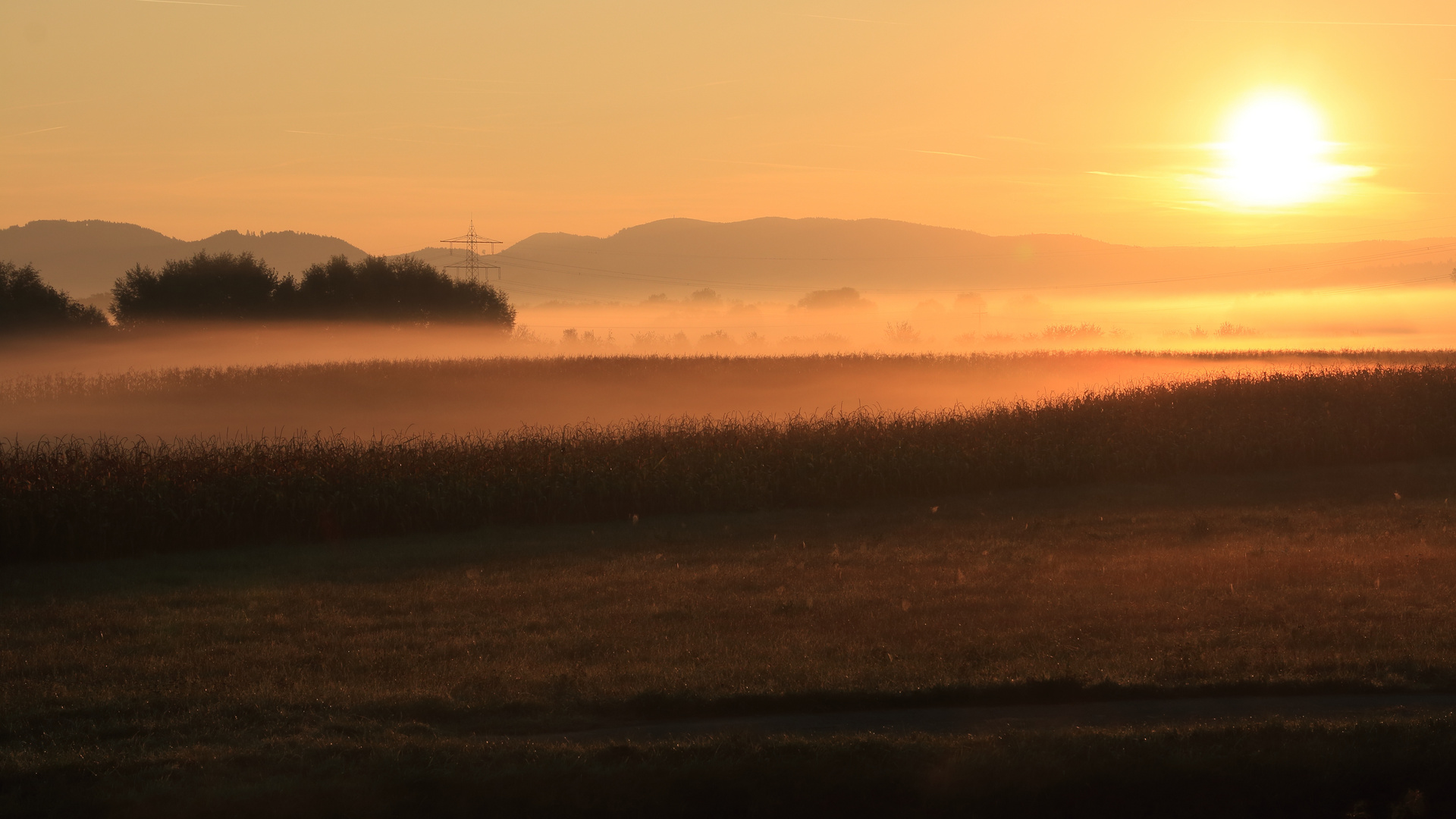 Sonntagmorgen um sieben