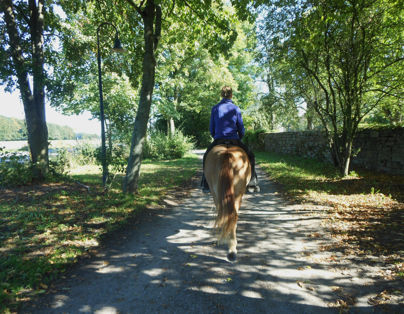 sonntagmorgens im herbst..