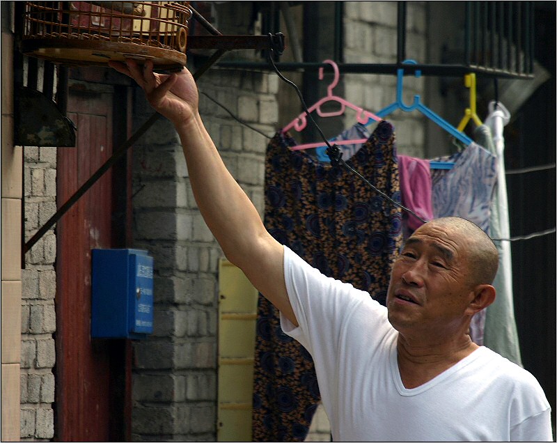 Sonntagmorgens im Hutong - Da verbringt man seine Zeit mit Voegeln