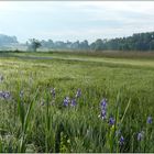 Sonntagmorgenspaziergang