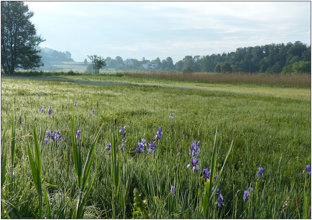 Sonntagmorgenspaziergang