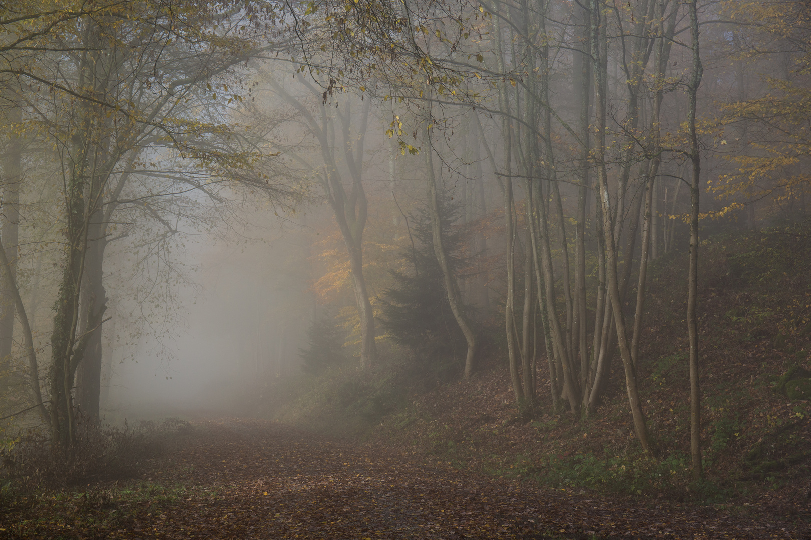 Sonntagmorgenspaziergang