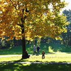 Sonntagnachmittag im Park