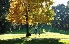 Sonntagnachmittag im Park