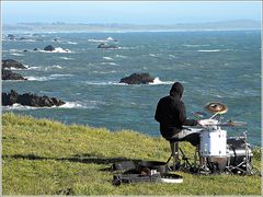 Sonntagnachmittag in Bodega Bay