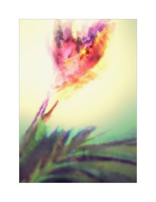 Sonntags abstrakt 06.11.22