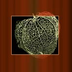 Sonntags abstrakt 09.10.22