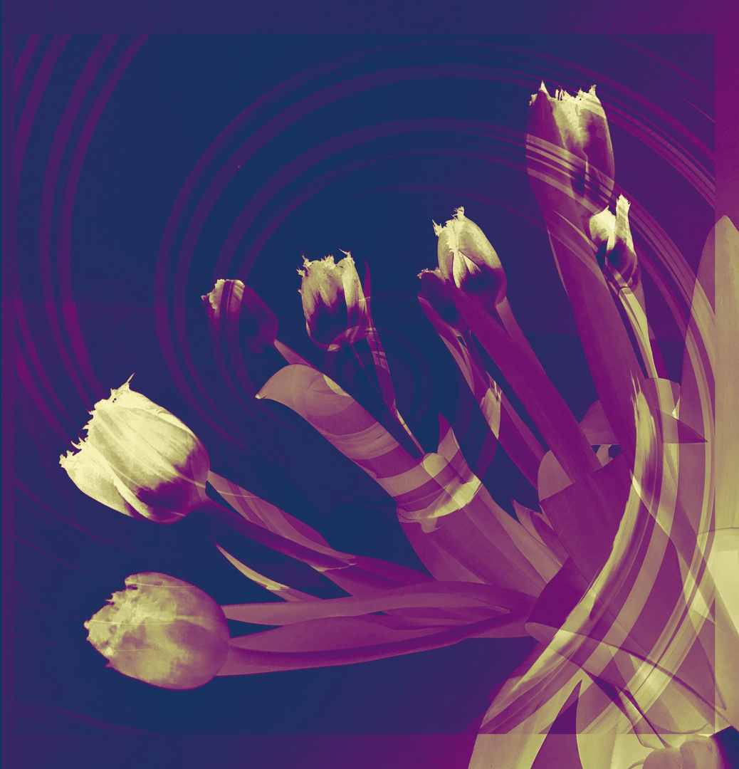 Sonntags abstrakt am 05.02.23 Foto & Bild | spezial, natur, pflanzen ... Sonntags abstrakt am 05.02.23 Foto & Bild | spezial, natur, pflanzen ...