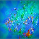 Sonntags abstrakt am 21.08.22