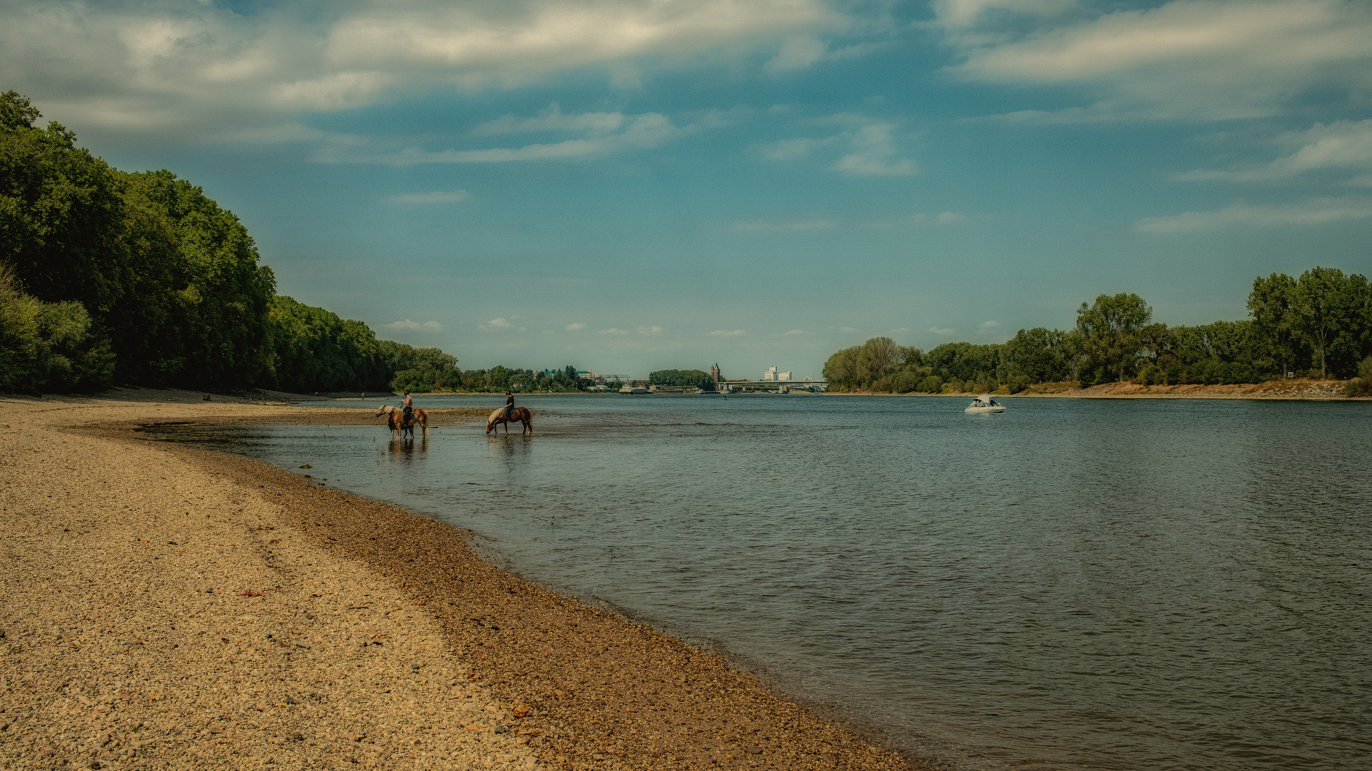 Sonntags am Rhein bei Niedrigwasser