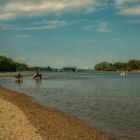 Sonntags am Rhein bei Niedrigwasser