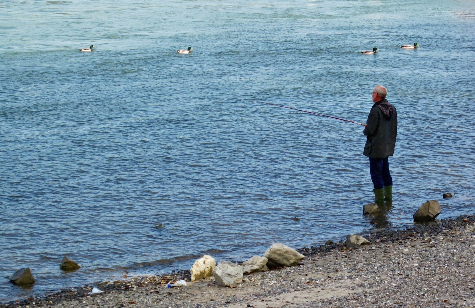 Sonntags am Rhein