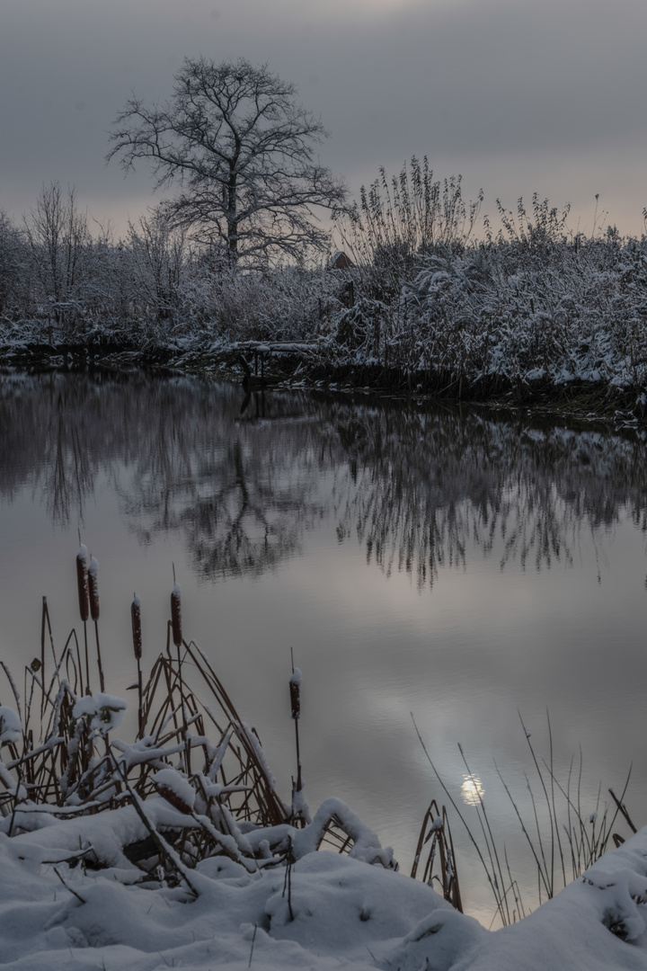 Sonntags am Teich Foto & Bild jahreszeiten, winter, projekte Bilder