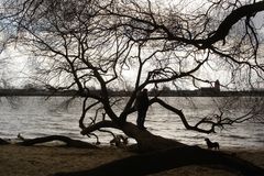 sonntags an der elbe