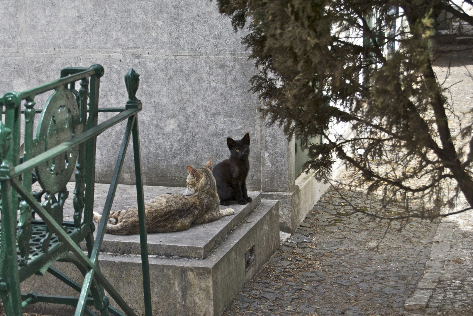 Sonntags auf dem Friedhof