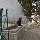 Sonntags auf dem Friedhof