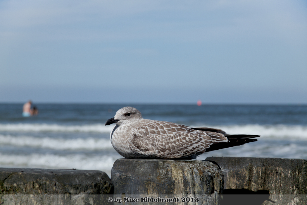 Sonntags auf Norderney