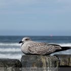 Sonntags auf Norderney