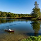 Sonntag`s  früh  um 10 in der Heide