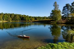 Sonntag`s  früh  um 10 in der Heide